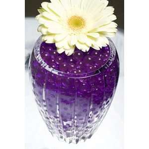  Purple Water Gel Beads For Floral Arrangements