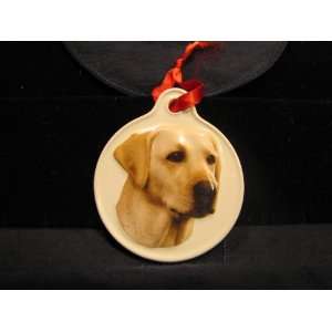  Sculpted Ceramic Yellow Lab Christmas Ornament: Everything 