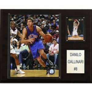  NBA Danilo Gallinari New York Knicks Player Plaque