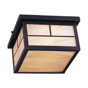  Coldwater Outdoor Ceiling Mount 4059HOBU: Home Improvement