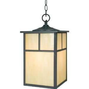  Coldwater 1 Light Outdoor Hanging Lantern H15 W9