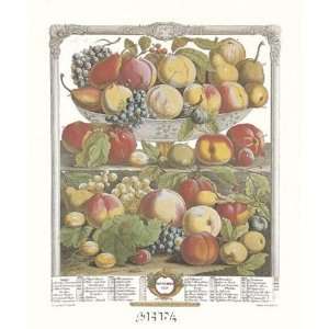 Twelve Months of Fruits, 1732/September Finest LAMINATED Print Robert 