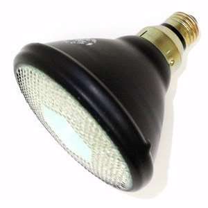  GE 19465   150PAR/FL/B Colored Flood Light Bulb