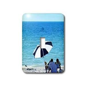  Florene Beach   Bird Shares Beach   Light Switch Covers 