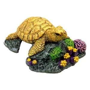  Exotic Environments® Sea Turtle: Pet Supplies