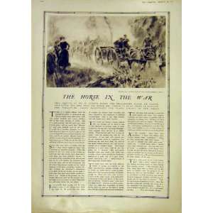 Horse War Hero Ypres Horses Troops Old Print 1917:  Home 