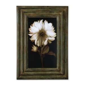  Florals Art By Uttermost 50680: Home Improvement
