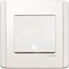 White 1 Gang 1 way switch with white LED (Vertical, 10A, 250V)