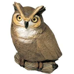  Original Size Owl 
