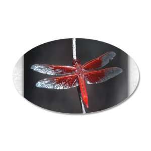  38.5x24.5O Wall Vinyl Sticker Red Flame Dragonfly 