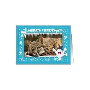  Bobcat Christmas Happy Holidays Greeting Card Card Health 