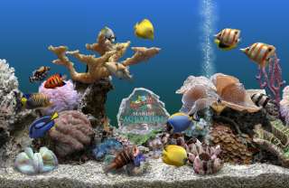 The Most Realistic Looking and Beautiful Virtual Fish Tank 