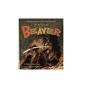    Beaver: Life Cycle of a (9780778706281): Bobbie Kalman: Books