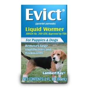  EVICT LIQUID WORMER