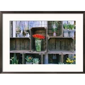  Tulips in vases atop makeshift wooden crates Framed Art 