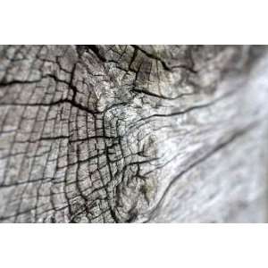  Wood Grain   Peel and Stick Wall Decal by Wallmonkeys 