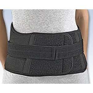  Mesh Loc Lumbar Support, Large Black Health & Personal 