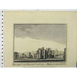  View Brompton Brian Castle Herefordshire Lowry Print