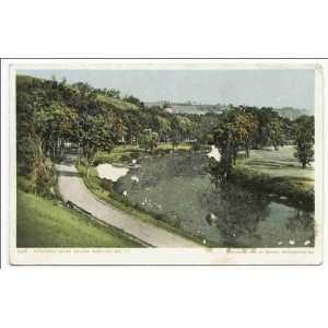  Reprint Winooski River below City, Montpelier, Vt 1903 