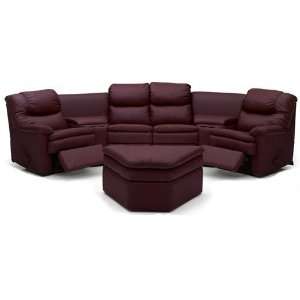  Carina Sectional Sofa Series Seating Leather Sectionals 