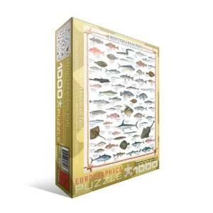  Mediterranean Fish 1000 Piece Puzzle: Toys & Games