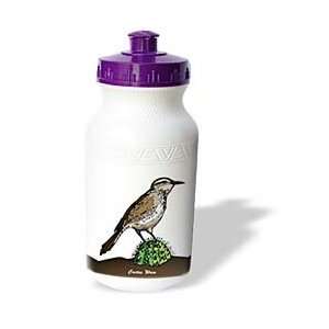   GRACEVISIONS Birds   BIRDS cactus wren 4 on white   Water Bottles