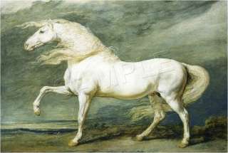 VINTAGE VICTORIAN WHITE HORSE EQUESTRIAN CANVAS ART  