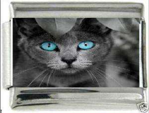 GRAY BLUE EYED CAT, 9MM ITALIAN CHARMS, NEW  