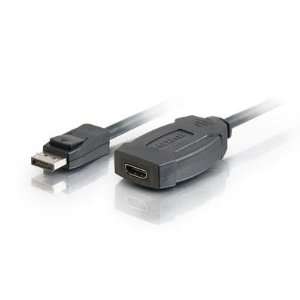  8in DisplayPort M/F HDMI Adapt Electronics