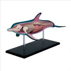  3 D Dolphin Anatomy Puzzle: Home & Kitchen