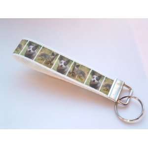    Australian Cattle Dog Breed of Dog Dog Key Ring: Office Products