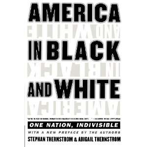   White One Nation, Indivisible [Paperback] Stephan Thernstrom Books