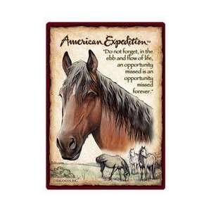  American Expedition Mustang Playing Cards Sports 