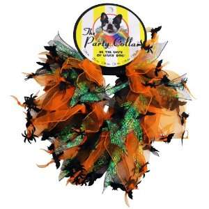   : Halloween Party Collar   Spider & Bats   Medium (12): Pet Supplies