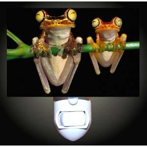  Tree Frog Pair Decorative Night Light