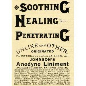  1893 Ad I. S. Johnson Anodyne Liniment Pain Relief Medical 