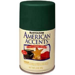   American Accents Craft and Hobby Spray Paint, Hunt Club Green, 3 Ounce