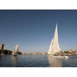  Feluccas on the Nile River, Aswan, Egypt, North Africa 