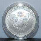 2006 W American Eagle 1 oz. UNC Silver Dollar  