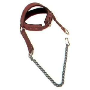  CAP Leather Head Harness