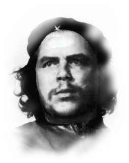 MEDICOM TOY SSUR Che Guevara 100% KUBRICK BEARBRICK BAPE APE MILO BE 