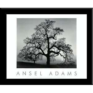  Ansel Adams,Oak Tree,Sunset City California,framed 28x34 