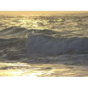  Ocean Wave, Playa Del Carmen, Mexico Photos To Go 