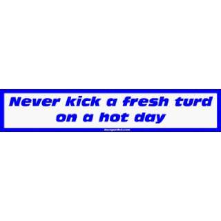  Never kick a fresh turd on a hot day MINIATURE Sticker 