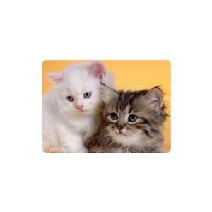  Brand New Kittens Mouse Pad Animals #558: Everything Else