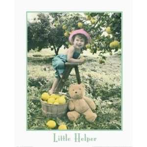  Little Helper Poster Print