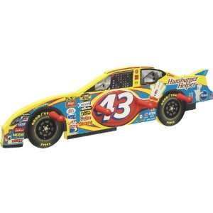  NASCAR Bobby Labonte Wall Pegs: Home & Kitchen