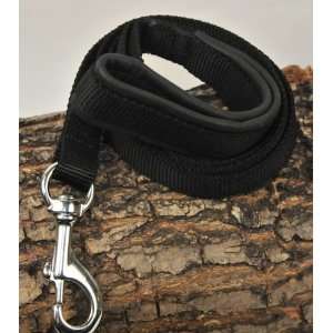 Dean & Tyler Padded Puppy Strong Nylon Dog Leash   Stainless Steel 