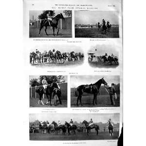 1901 Hurst Park Horse Racing Lavengro Levan Dixie Lord 