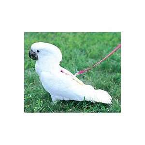  Bird Leash Small